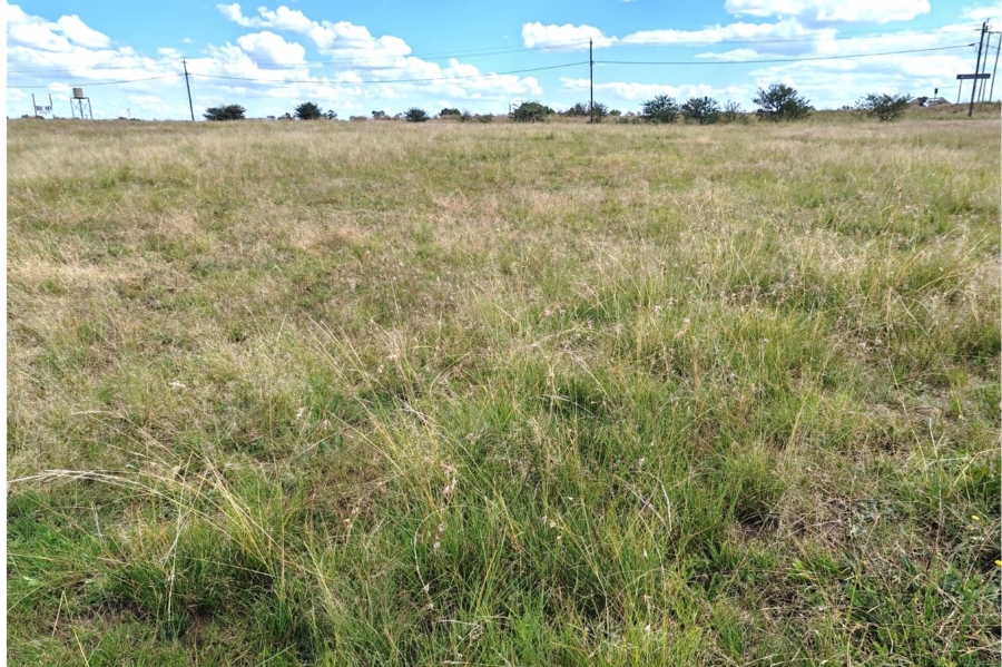 0 Bedroom Property for Sale in Oranjeville Free State